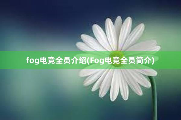 fog电竞全员介绍(Fog电竞全员简介)