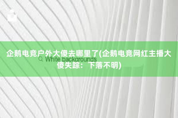 企鹅电竞户外大傻去哪里了(企鹅电竞网红主播大傻失踪：下落不明)