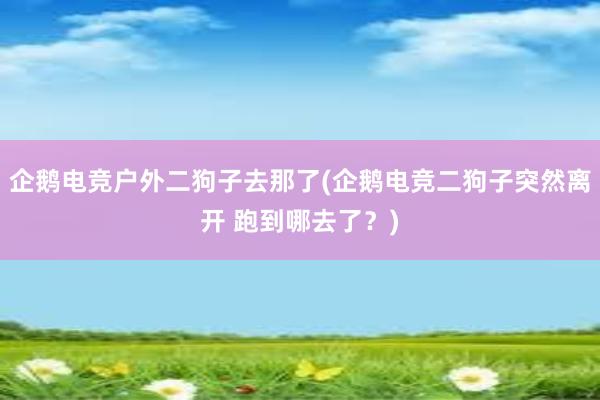 企鹅电竞户外二狗子去那了(企鹅电竞二狗子突然离开 跑到哪去了？)