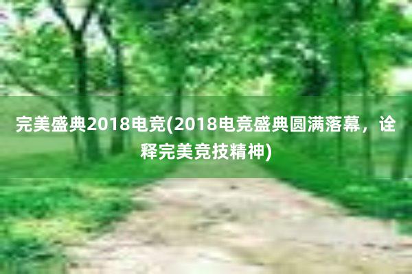 完美盛典2018电竞(2018电竞盛典圆满落幕，诠释完美竞技精神)