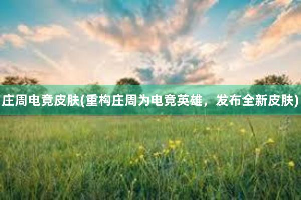 庄周电竞皮肤(重构庄周为电竞英雄，发布全新皮肤)