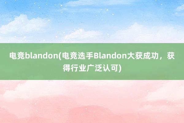 电竞blandon(电竞选手Blandon大获成功，获得行业广泛认可)