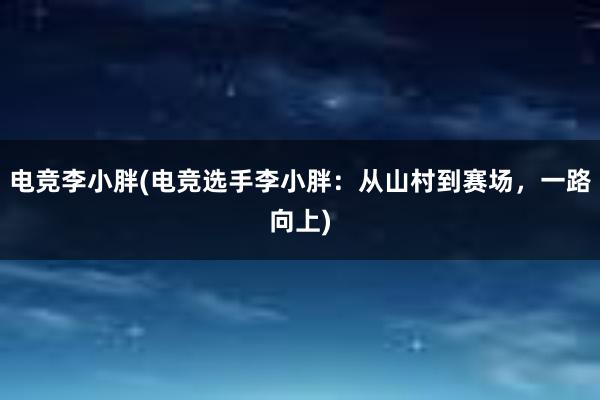 电竞李小胖(电竞选手李小胖：从山村到赛场，一路向上)