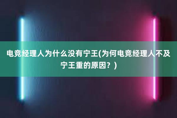 电竞经理人为什么没有宁王(为何电竞经理人不及宁王重的原因？)