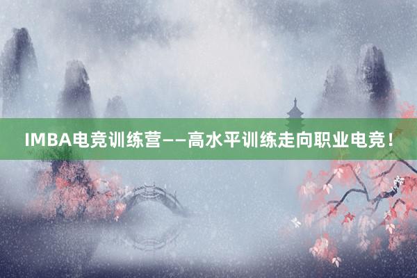 IMBA电竞训练营——高水平训练走向职业电竞！