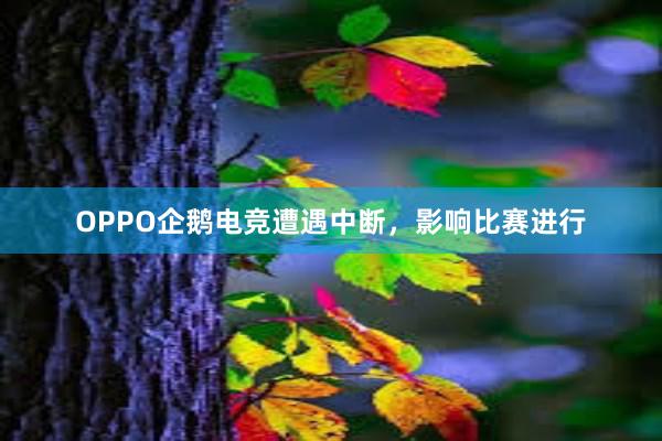 OPPO企鹅电竞遭遇中断，影响比赛进行