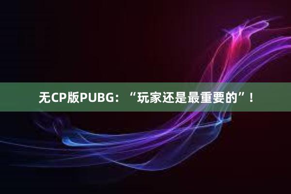 无CP版PUBG：“玩家还是最重要的”！