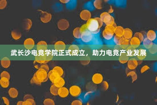 武长沙电竞学院正式成立，助力电竞产业发展