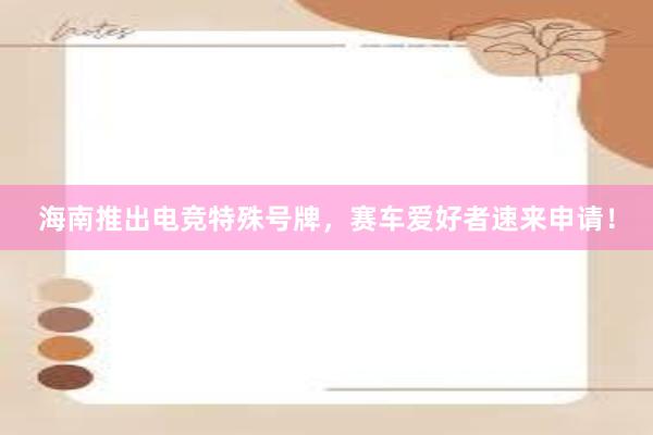 海南推出电竞特殊号牌，赛车爱好者速来申请！