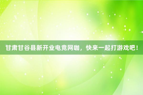 甘肃甘谷县新开业电竞网咖，快来一起打游戏吧！