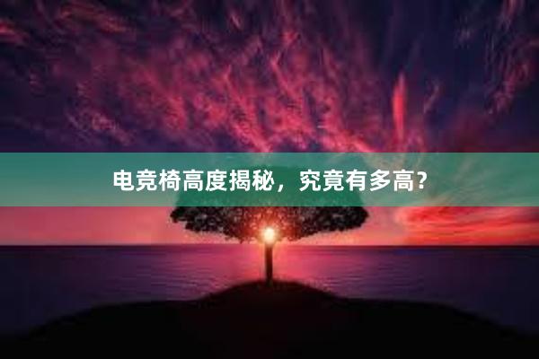 电竞椅高度揭秘，究竟有多高？