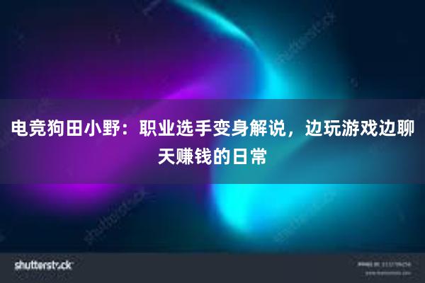 电竞狗田小野：职业选手变身解说，边玩游戏边聊天赚钱的日常