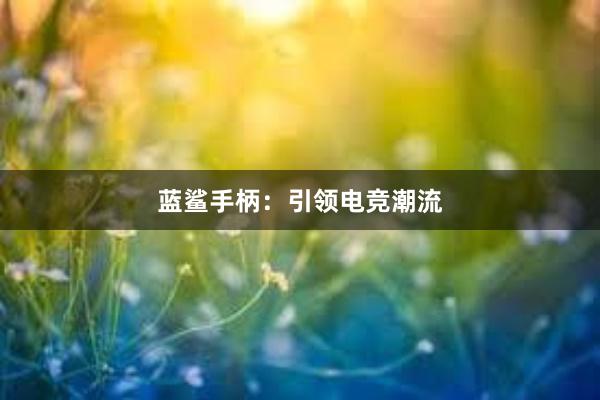 蓝鲨手柄：引领电竞潮流