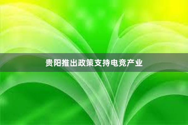 贵阳推出政策支持电竞产业